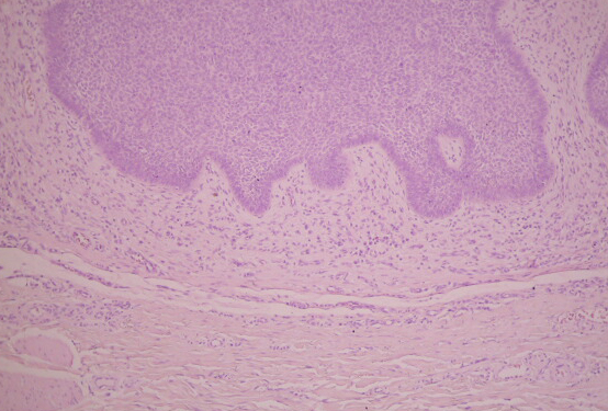 Fig. 9 - <div style=